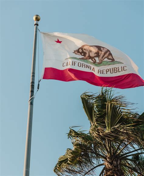 17 Symbols of Los Angeles and Their Meaning .
